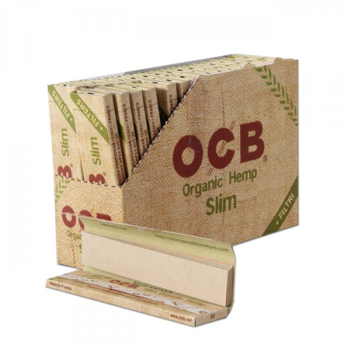 obraz_2024-09-23_152640757.png