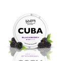 blackberry.jpg