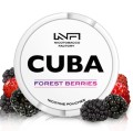 Cuba-White-Black-Currant-–-16MG-1.jpg