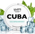 Cuba-White-IceSpearmint-–-16MG.jpg