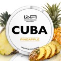 Cuba-White-Pineapple-–-16MG.jpg